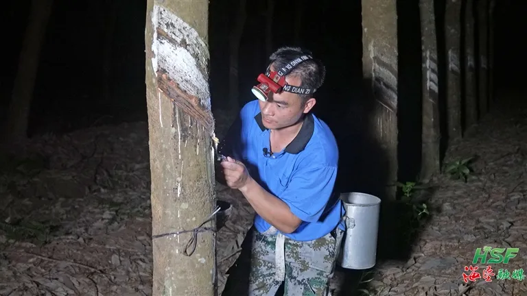 36afc73d167b4bfca0bfd580dc22012e