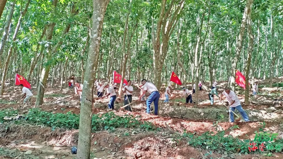 4eb83e31b24248c094a09d019ef73dbf