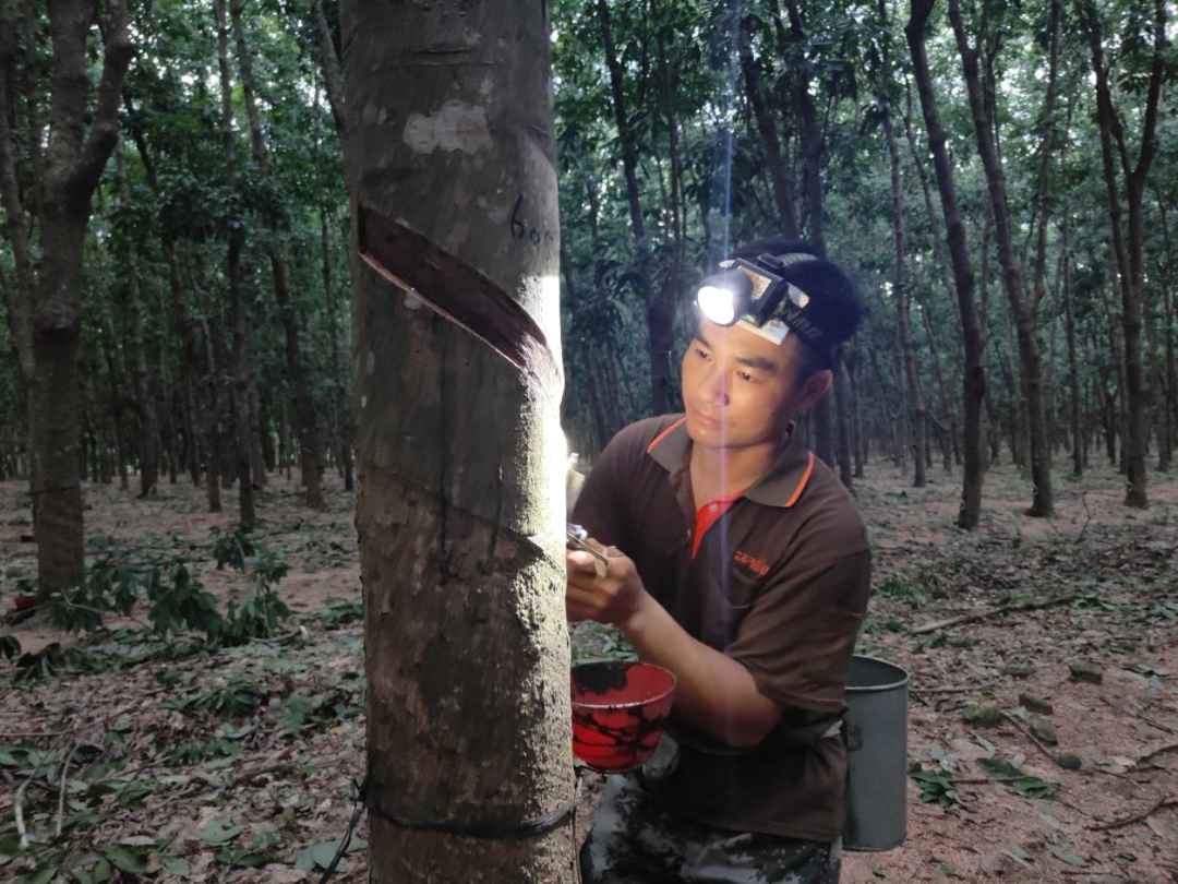 5d5cb475f3534288842e2a6c42a26a15