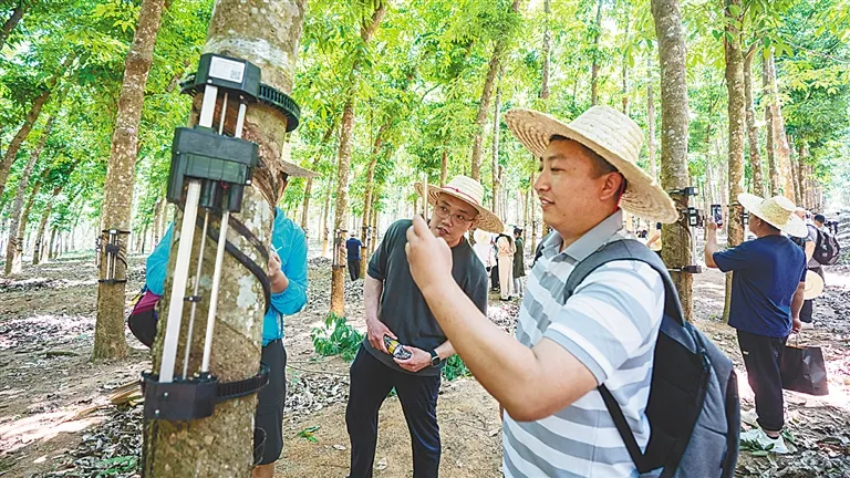 b6845192f9284d1c8bf78cbcbca5d1f2