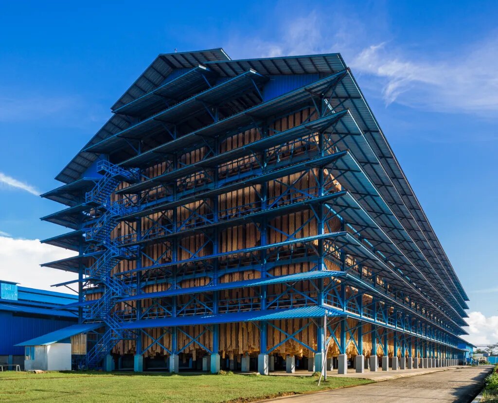 媒体关注丨砥砺十五载 胶融全国路——海南橡胶铸就全球天然橡胶产业新标杆