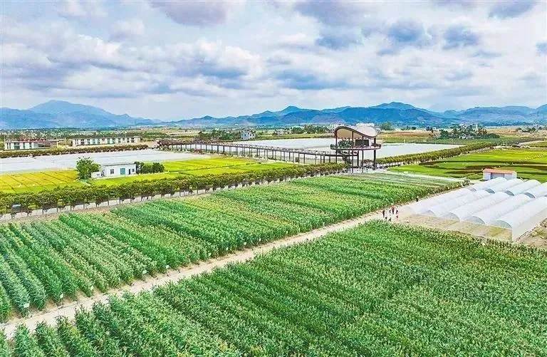 cea8de39af0742c4864fb97ab58253c0