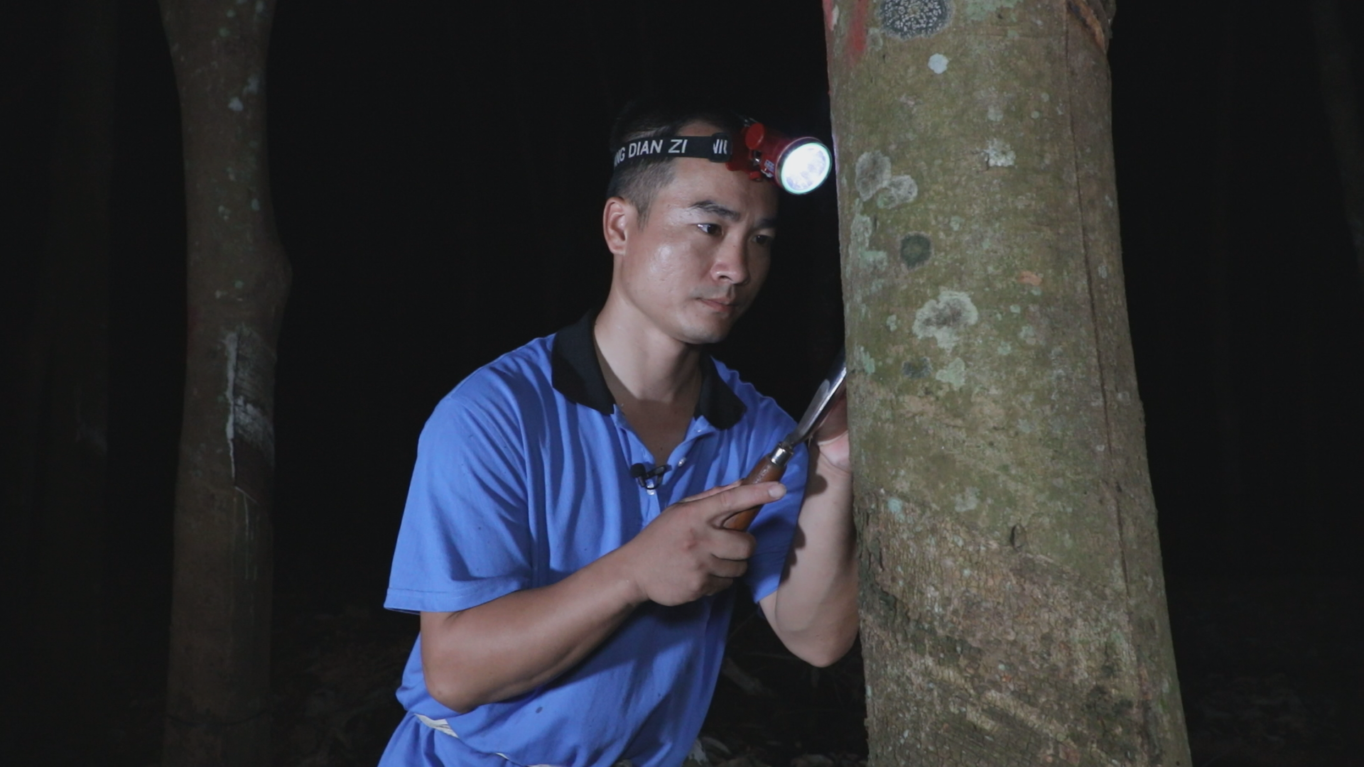 d5f0086077444b76ad8b9d07ad688022