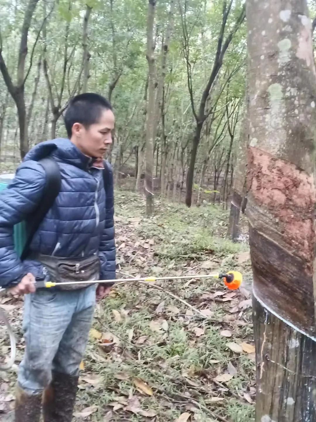 f066c23dc82a4e90b1b9edb4f15325cf