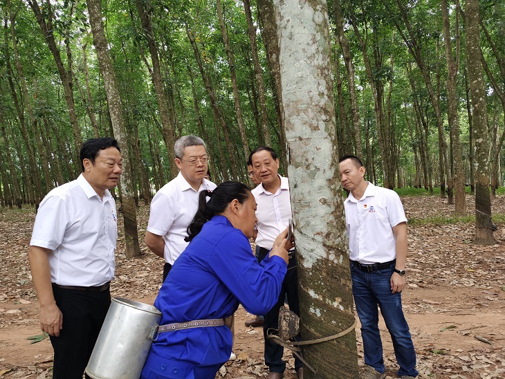 首页| 88858cc永利集团(Macau)官方网站