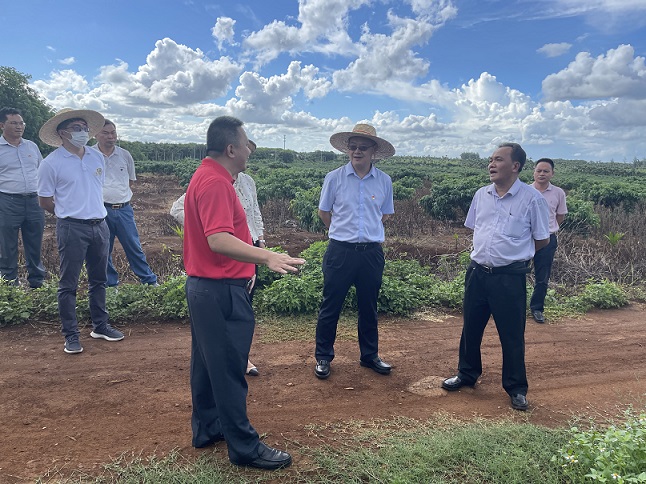 首页| 88858cc永利集团(Macau)官方网站