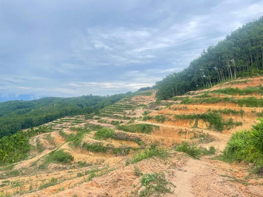 首页| 88858cc永利集团(Macau)官方网站