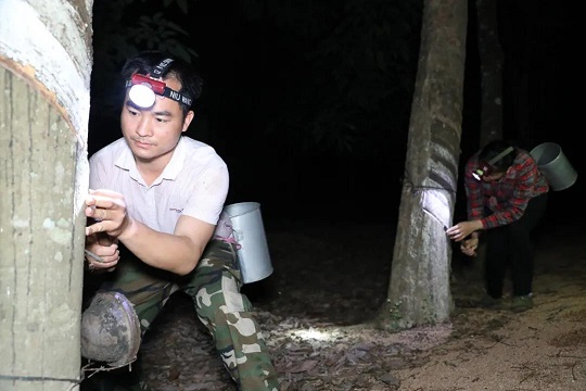 首页| 88858cc永利集团(Macau)官方网站