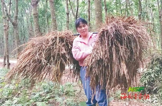 首页| 88858cc永利集团(Macau)官方网站