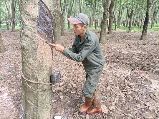 首页| 88858cc永利集团(Macau)官方网站