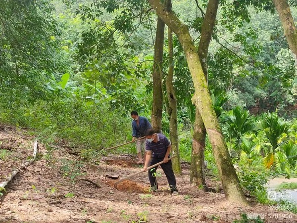 首页| 88858cc永利集团(Macau)官方网站