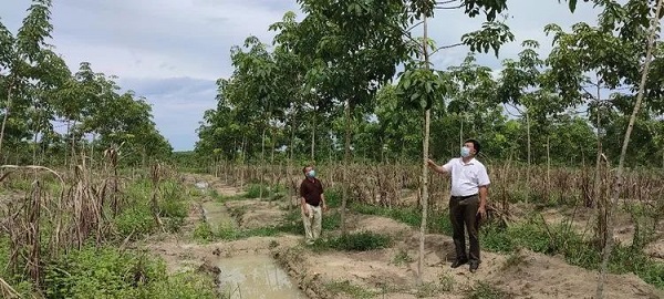 首页| 88858cc永利集团(Macau)官方网站