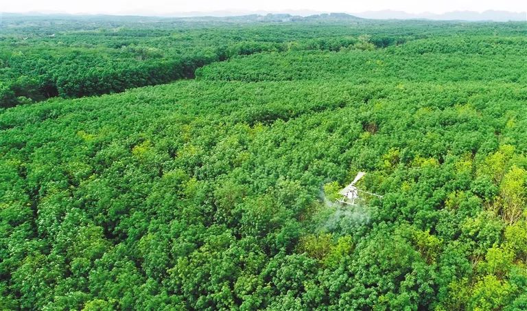 首页| 88858cc永利集团(Macau)官方网站