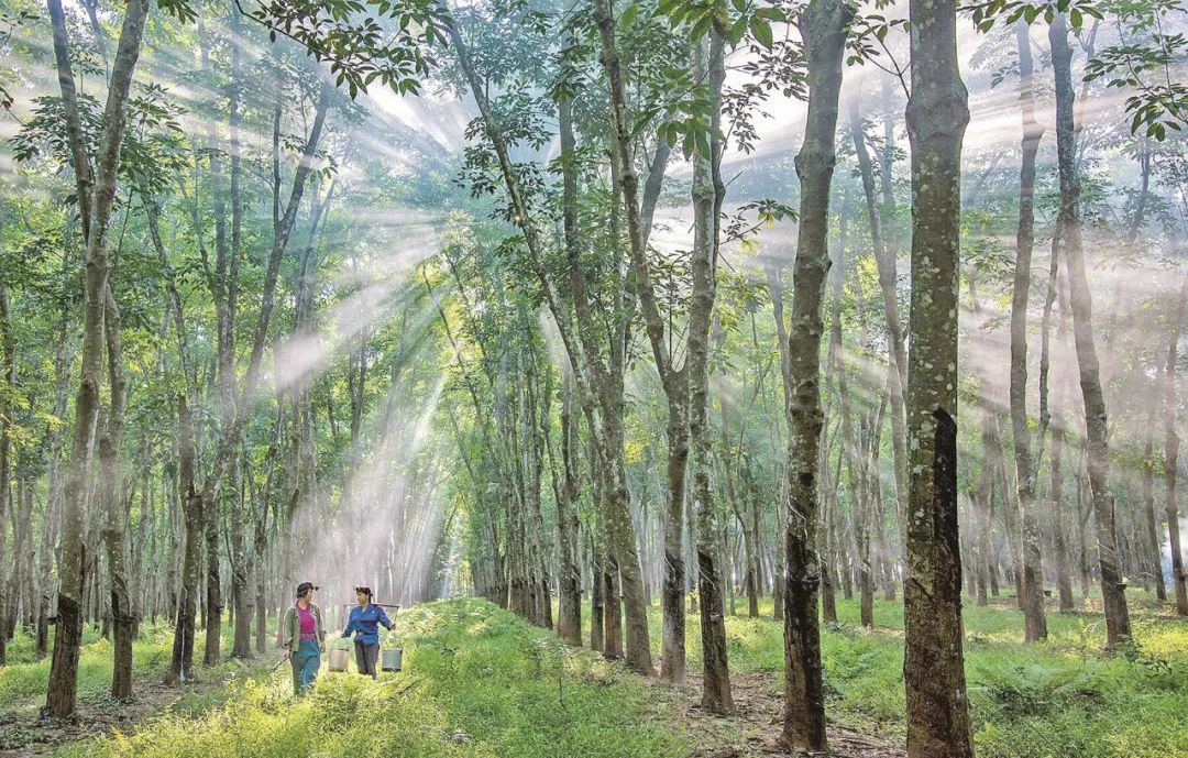 首页| 88858cc永利集团(Macau)官方网站