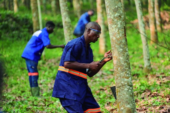 首页| 88858cc永利集团(Macau)官方网站